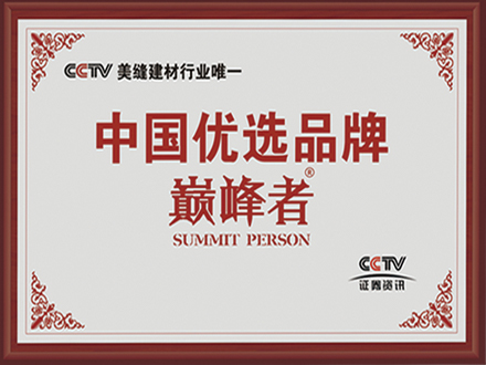 中国优选品牌