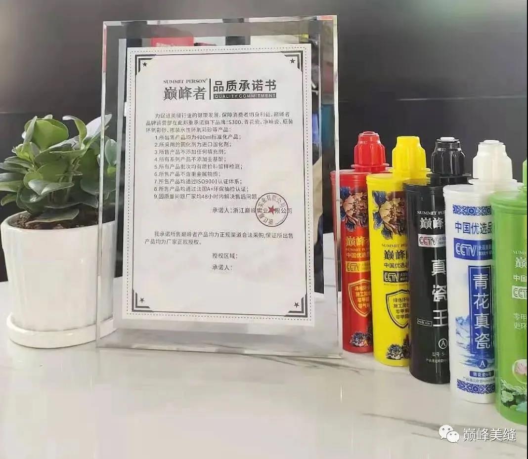 飞跃巅峰，纵横四海 I 第二届巅峰英雄会分会晚宴惠州站圆满举行！(图5)